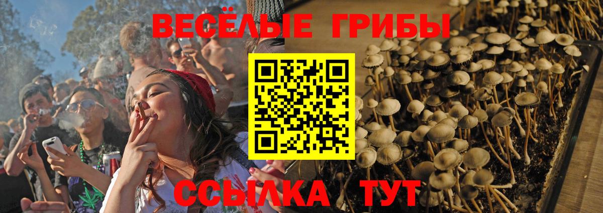 Галлюциногенные грибы Cubensis Норильск